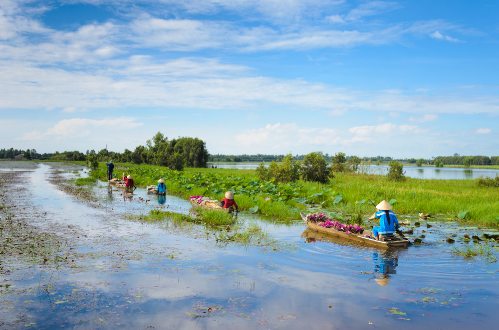15 ที่เที่ยว เวียดนาม - ดินดอนสามเหลี่ยมปากแม่น้ำโขง (Mekong Delta)